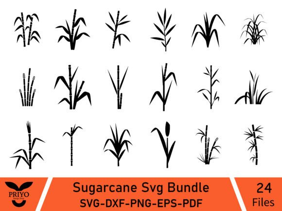 A Sugarcane Svg Bundle for Organic Branding Graphics